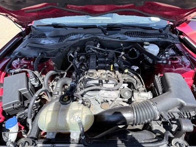 2021 Ford Mustang EcoBoost