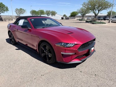 2021 Ford Mustang EcoBoost